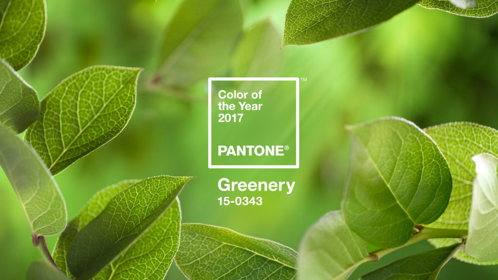 PANTONE-Color-of-the-Year-2017-Greenery-15-0343-leaves-3840x2160